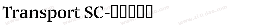 Transport SC字体转换